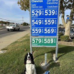 Chevron