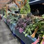 Photo of Foothills Farm
