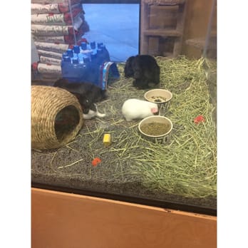 Pets to Go - Pet Stores Near Me - Elk Grove, California
