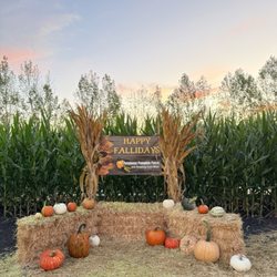 Petaluma Pumpkin Patch And Amazing Corn Maze - Photo op