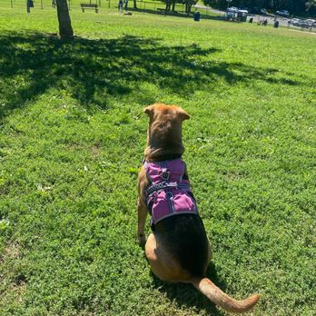 Elm Ridge Park - Dog Park - Parks Near Me - Rocky Hill, Connecticut Elm Ridge Park - Dog Park - Parks Near Me - Rocky Hill, Connecticut