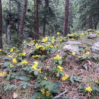 Chautauqua Park - Parks Near Me - Boulder, Colorado