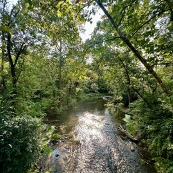 Quittie Creek Nature Park
