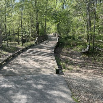 Mill Bridge Nature Park - Parks Near Me - Rolesville, North Carolina Mill Bridge Nature Park - Parks Near Me - Rolesville, North Carolina