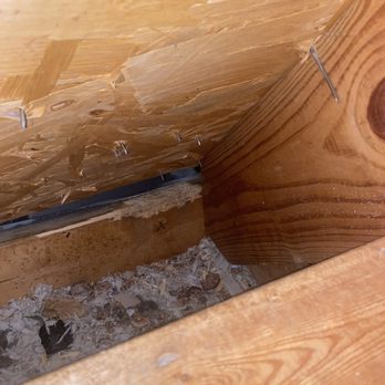 Marvelous Pest Solutions - Attic squirrel getting in and causing damage. - Pest Control Near Me Marvelous Pest Solutions - Attic squirrel getting in and causing damage. - Pest Control Near Me