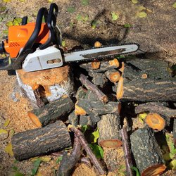 Jimenez tree service