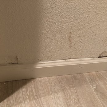 Speedy Restoration - Damage Restoration Near Me - Pleasanton, California