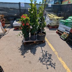 Sunny Foodmart