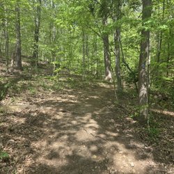 Rotary Park