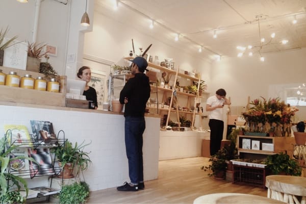 Homecoming by null Homecoming by null