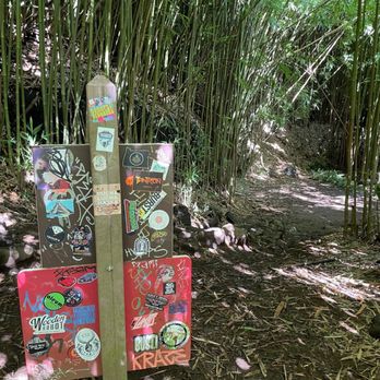 Pipiwai Trail - Hiking Near Me - Hana,, Hawaii