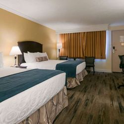 Best Western Plus Burnaby Hotel - Guest Room with Two Queen Beds