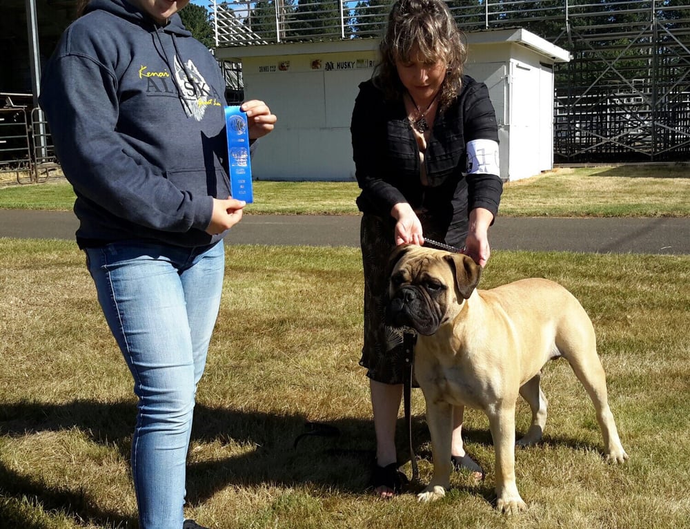 HOLIDAY KENNELS Updated September 2024 85406 Dillard Access Rd