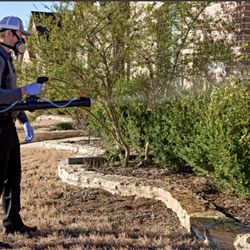 Dynasty Pest Control - Mosquito Fog Treatment