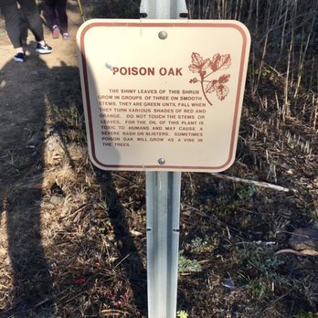 San Bruno Mountain State & County Park - Beware of poison oak - Parks Near Me - Brisbane, California San Bruno Mountain State & County Park - Beware of poison oak - Parks Near Me - Brisbane, California