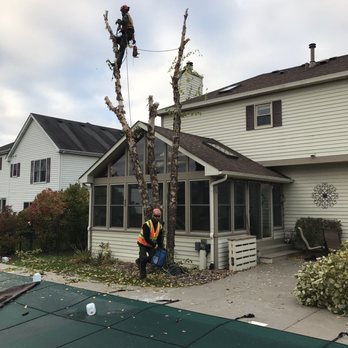 FJR Tree - Tree Services Near Me