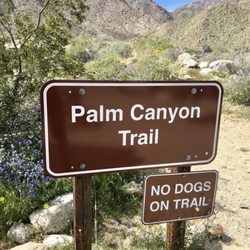 Borrego Palm Canyon Trail - Signage