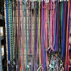 Carter's Pet Market