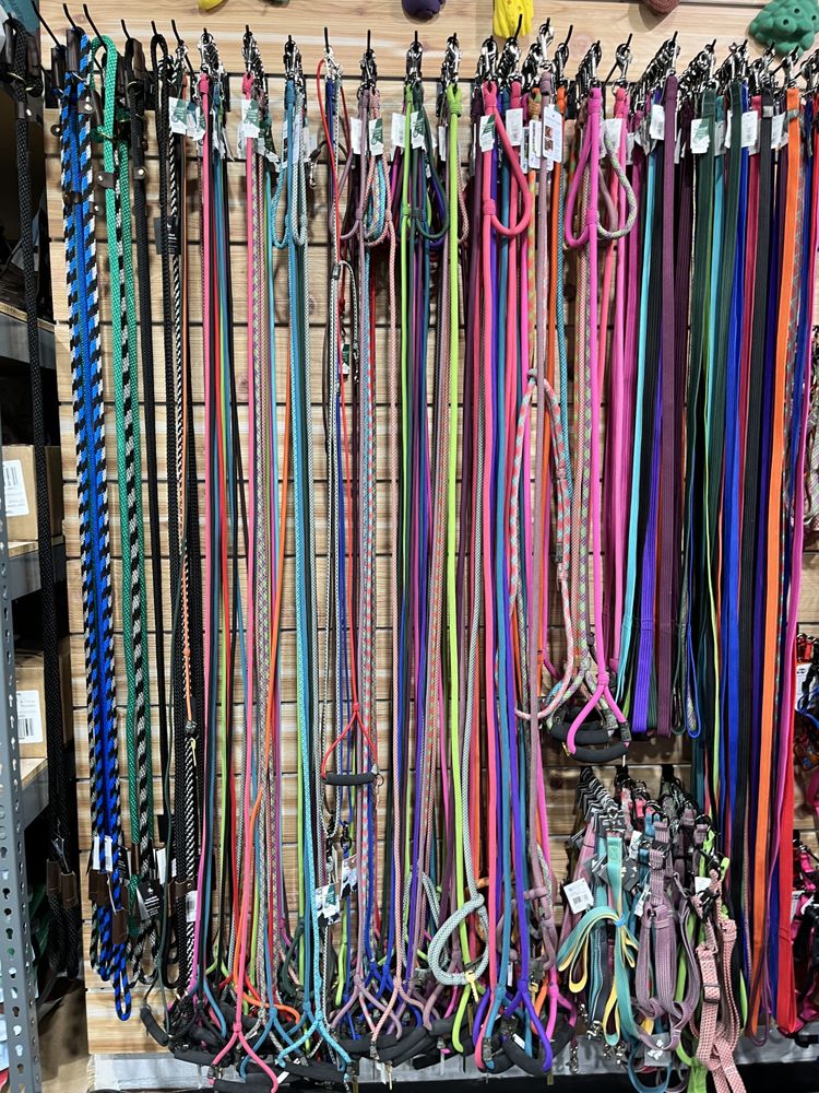 Carter's Pet Market Image