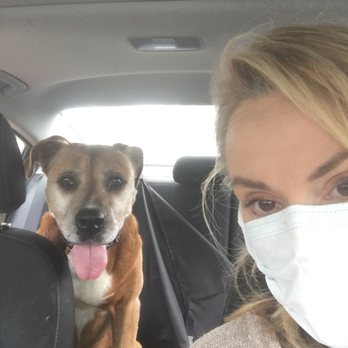 Two Hands Four Paws - Veterinarians Near Me - Los Angeles, California