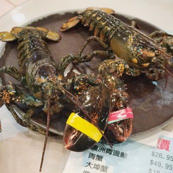 New Golden Gate - Chinese Near Me - Boston, Massachusetts New Golden Gate - Chinese Near Me - Boston, Massachusetts
