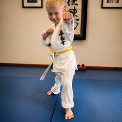 Simkin's Martial Arts