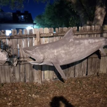 Five Flags RV Park - RV Parks Near Me - Pensacola, Florida