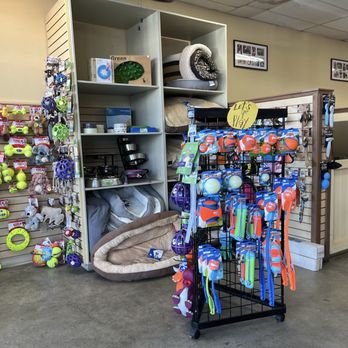 Animalia - Pet Stores Near Me - Huntington Beach, California Animalia - Pet Stores Near Me - Huntington Beach, California