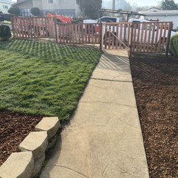 New front lawn, mulch area and front fence