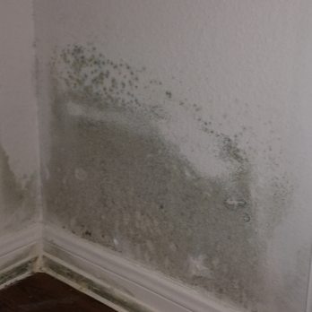Woodland Hills Luxury Apartments - Mold - Apartments Near Me - Houston, Texas