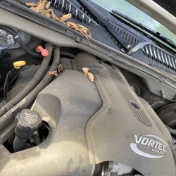 Super dirty engine cover full of leaves and dust