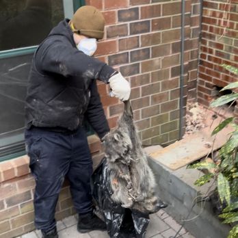 Chimney Experts - A chimney is no home for a raccoon. Always make sure you have your chimney properly covered. - Chimney Sweeps Near Me - Brooklyn, New York