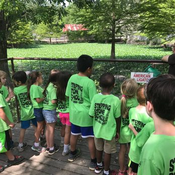 Stepping Stone School - Preschools Near Me - Tyler, Texas Stepping Stone School - Preschools Near Me - Tyler, Texas