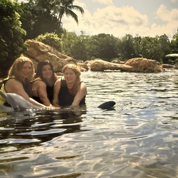 Discovery Cove - Amusement Parks Near Me - Orlando, Florida