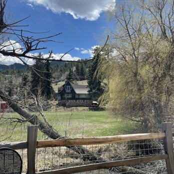 Amano Coffee & Plants - Coffee & Tea Near Me - Kittredge, Colorado