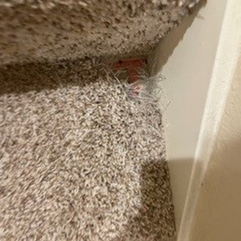 The Barracks Townhomes - chewed up hole in the carpet - Property Management Near Me - College Station, Texas