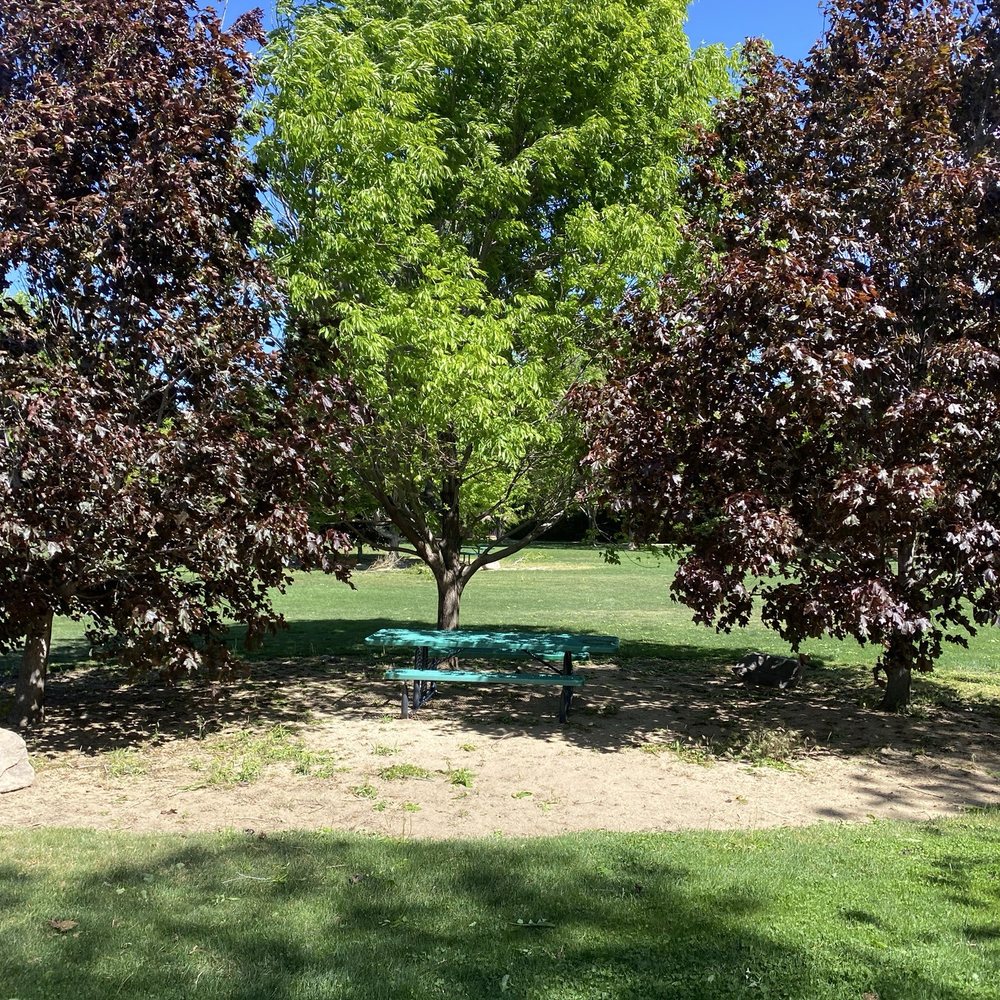Anderson Park - My favorite picnic table in the park. - Hiking Near Me - Reno, Nevada