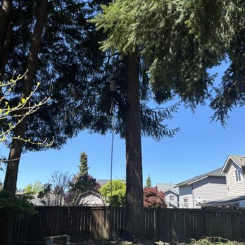 Bob's Property Solutions - Tree Services Near Me - Puyallup, Washington