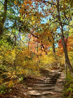 Starved Rock State Park by null