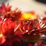 Photo of Abbondanza Massage and Wellness