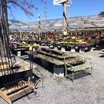 Russell's Garden Center - The outdoor selection of annuals available in late April - Nurseries & Gardening Near Me - Wayland, Massachusetts Russell's Garden Center - The outdoor selection of annuals available in late April - Nurseries & Gardening Near Me - Wayland, Massachusetts