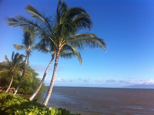 Hotel Moloka'i by null