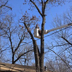 Pacific Tree Service