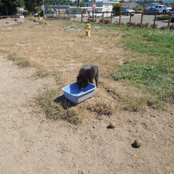 Fort Bragg Dog Park - Dog Parks Near Me - Fort Bragg, California