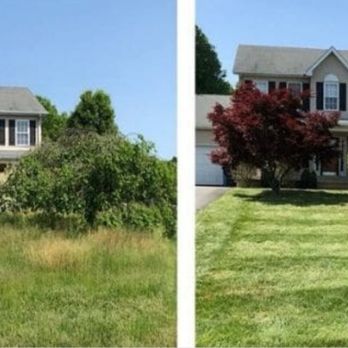 JDC Exterior - Can almost see the house now! - Pressure Washers Near Me JDC Exterior - Can almost see the house now! - Pressure Washers Near Me