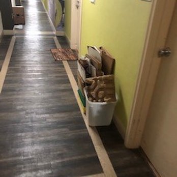 Mayflower Apartments - Trash get's left out all the time. - Apartments Near Me - Virginia Beach, Virginia Mayflower Apartments - Trash get's left out all the time. - Apartments Near Me - Virginia Beach, Virginia