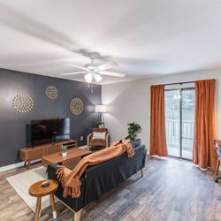 Elite Vacation Rentals
