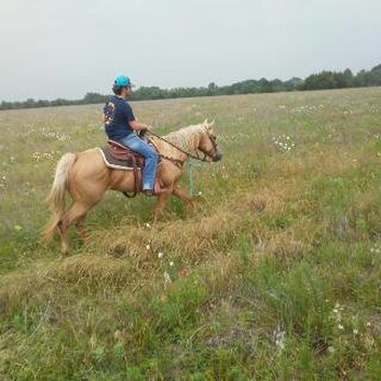 BROKEN BOW RANCH - Updated March 2026 - 45 Photos & 62 Reviews - 1755 E ...