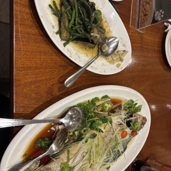 Seven Days - Sea bass - Chinese Near Me - Cambridge, CAM Seven Days - Sea bass - Chinese Near Me - Cambridge, CAM