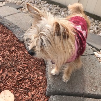 Pets Are Inn Montgomery County - A slight chill in the air! - Pet Sitting Near Me - Telford, Pennsylvania Pets Are Inn Montgomery County - A slight chill in the air! - Pet Sitting Near Me - Telford, Pennsylvania